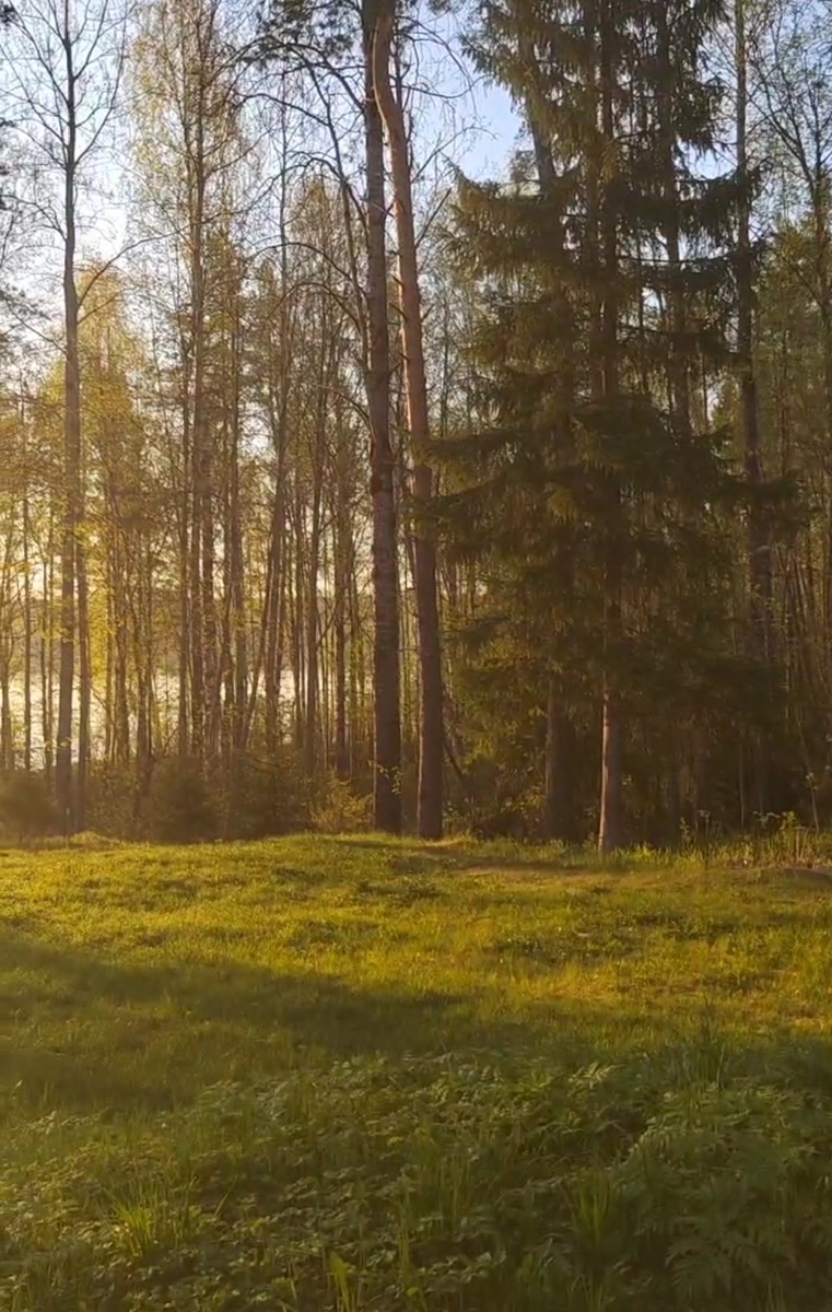 фото: сейчас в Карелии вот так