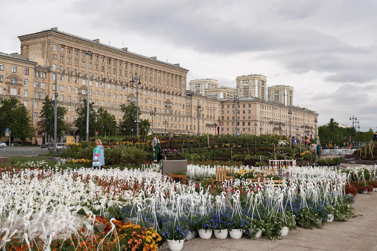    Фото: t.me/razumishkin