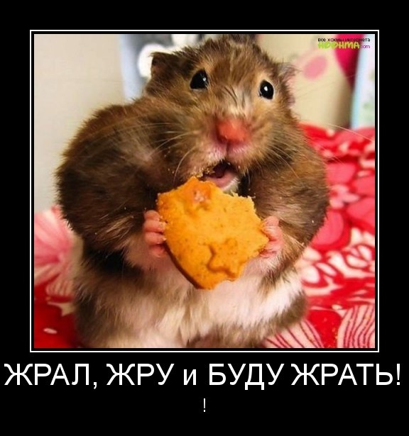 Картинка из открытых источников.