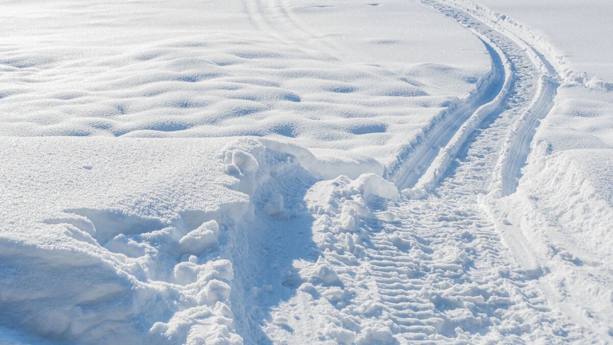    Фото: AMV_80/Shutterstock/Fotodom