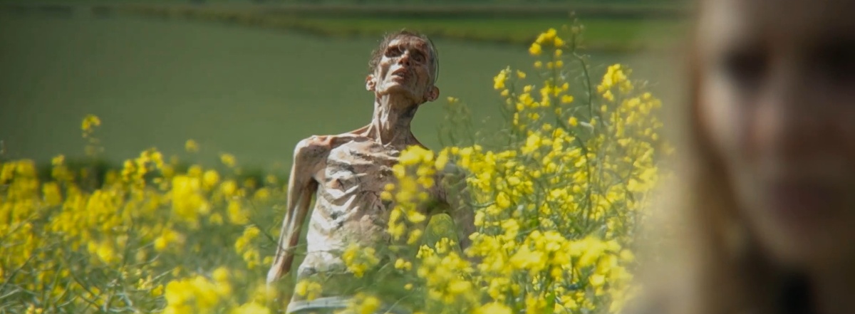 Похож на Киллиана Мерфи (Джим)