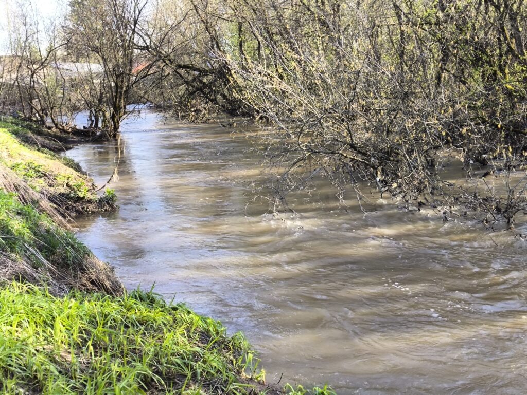   Фото: В курсе.ру Ольга Гилёва