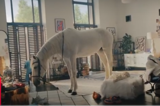 Стоп-кадр с кобылой.