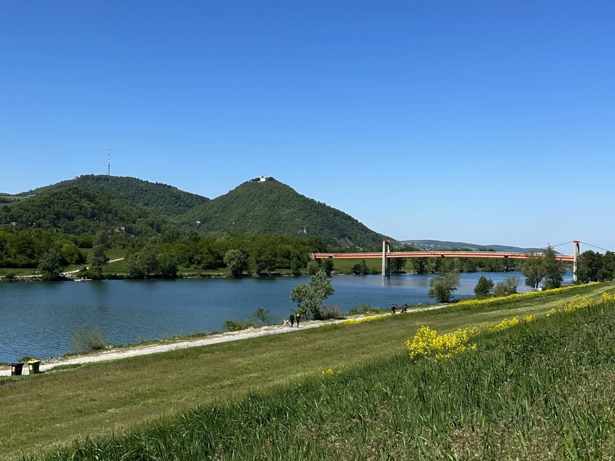 Вена, 21 район. Май, 2025