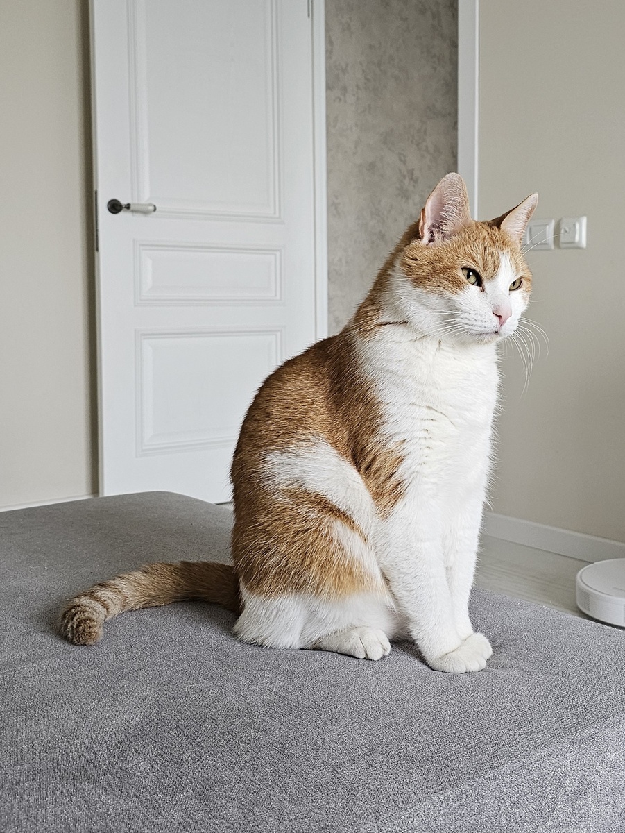 Ты на меня смотри, но трогать не смей🙄