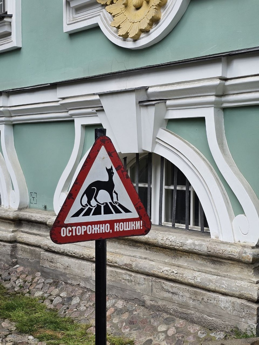 Знак у подвала. Фото: Парадная гостья