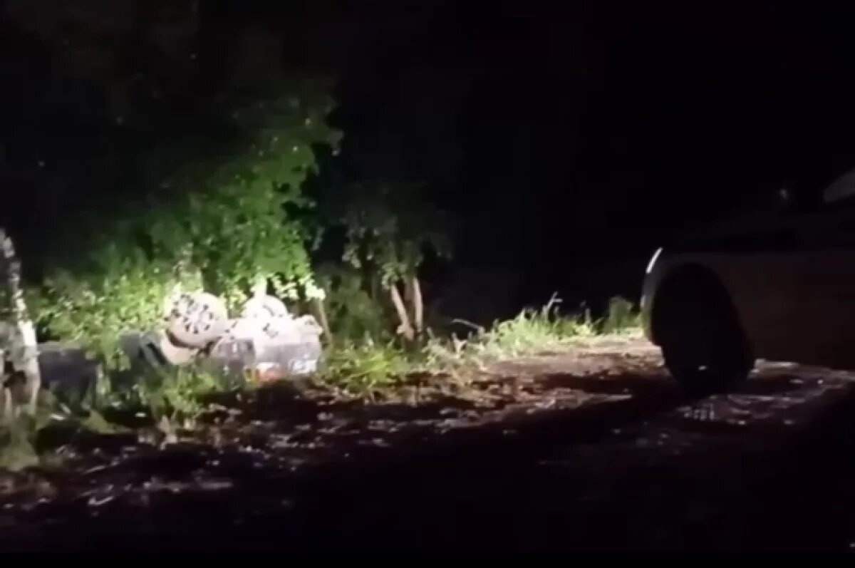    16-летний подросток погиб в ДТП с опрокинувшимся авто в Пермском крае