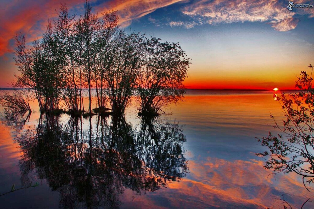 Картинка из сети интернет, спасибо автору.