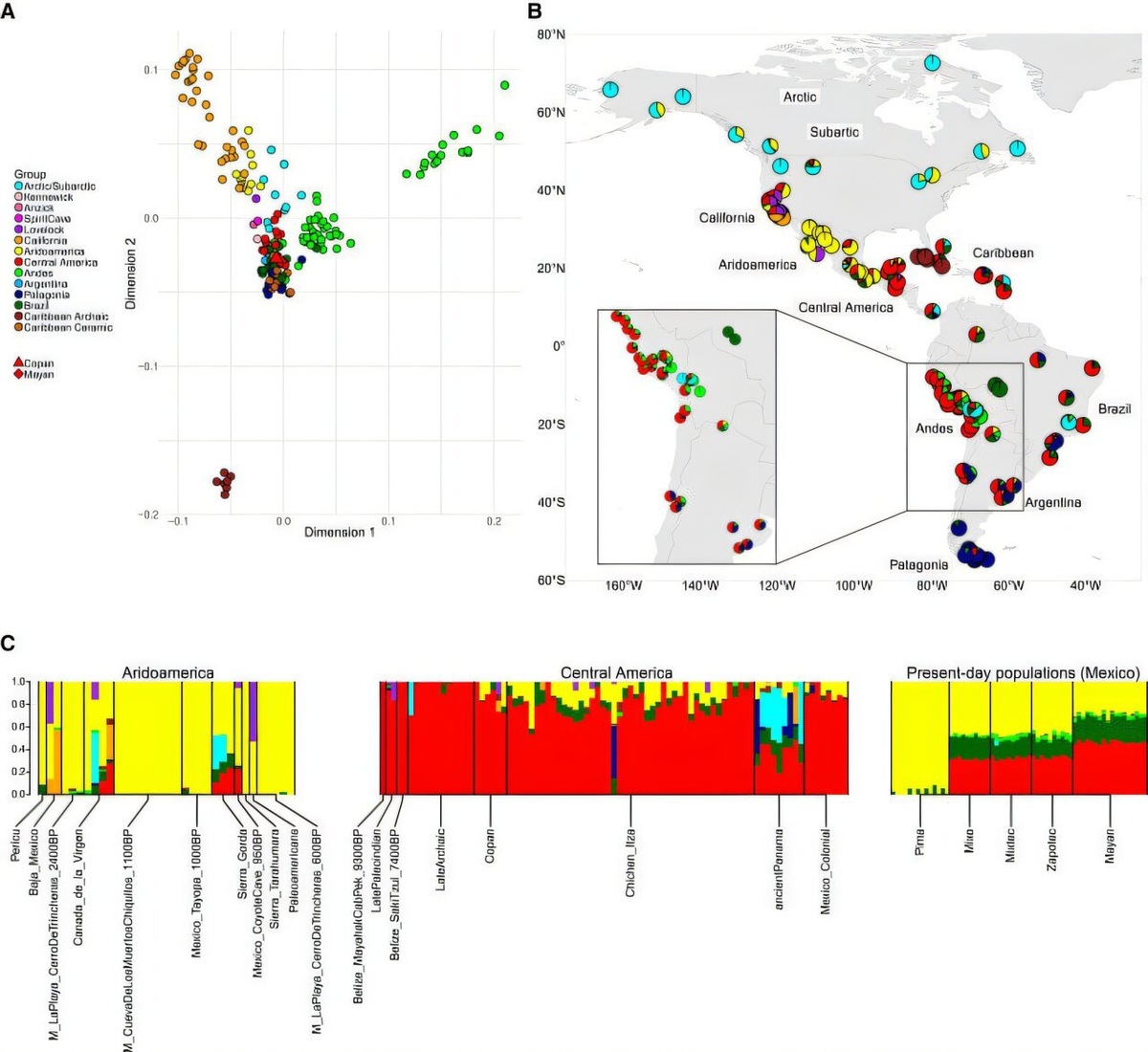    Геномные профили классического Копана в контексте древних и современных популяций Америки.