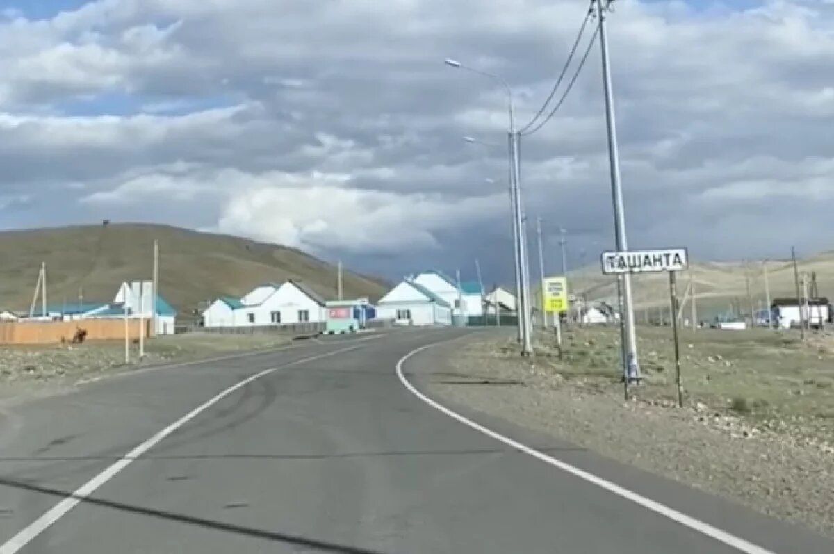    Досмотровые комплексы за 700 млн рублей закупят в Новосибирской области