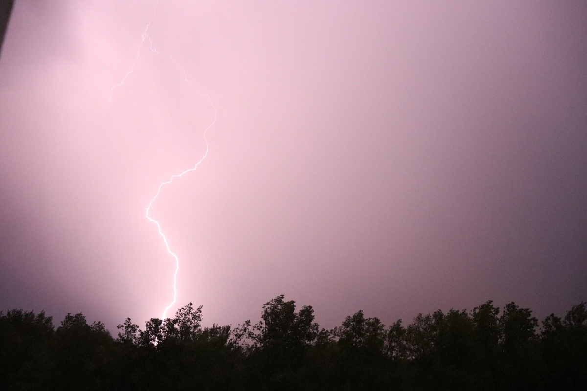    Фото: архив progorod