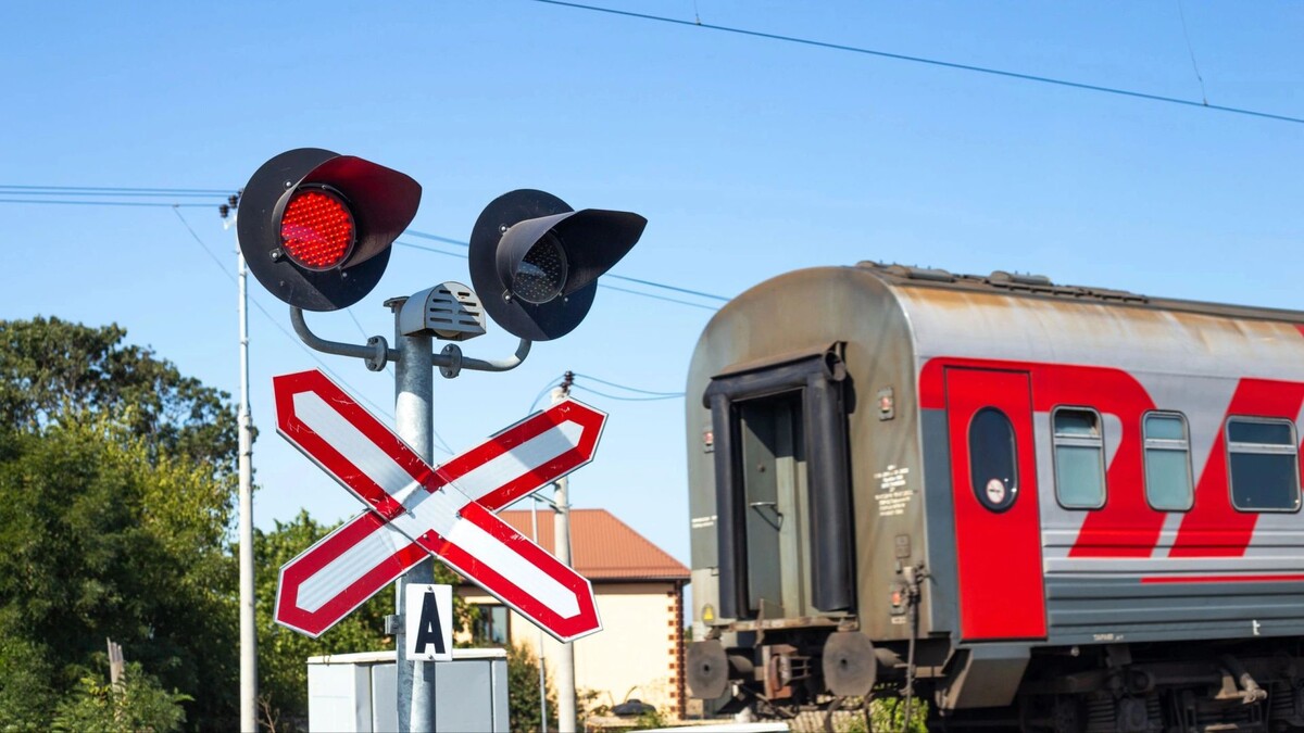    Фото: Natalia Kokhanova/Shutterstock/Fotodom