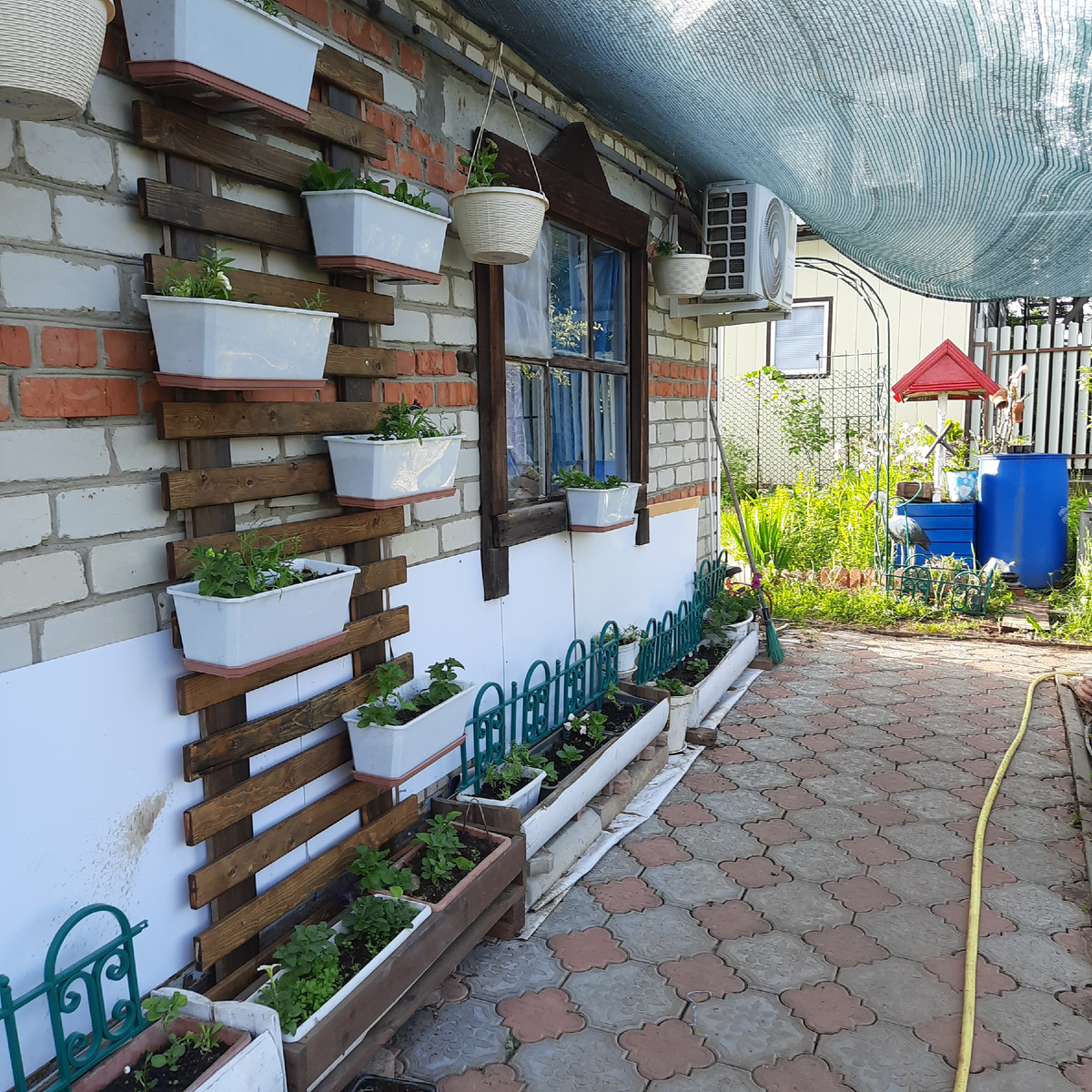 Осталось расцвести)