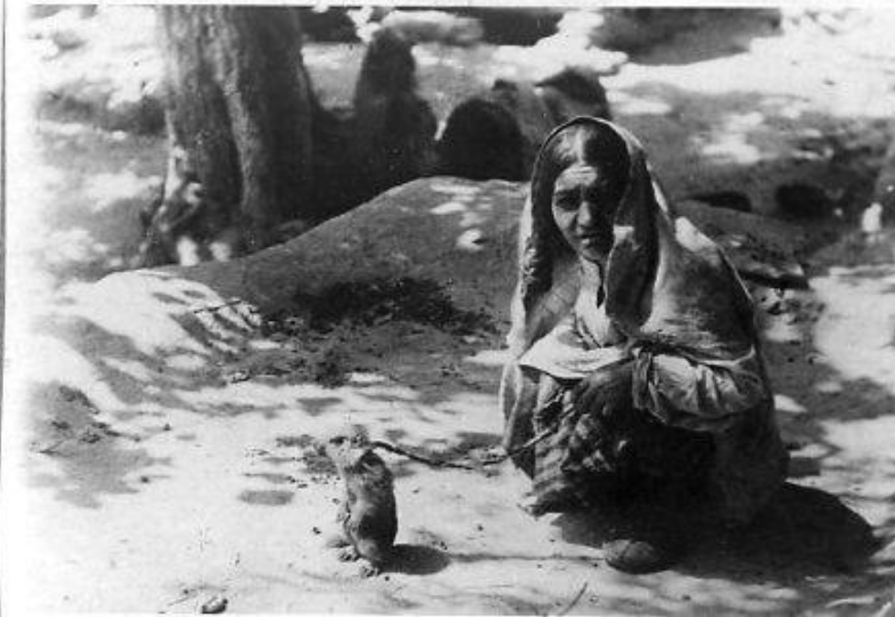 Источник: телеграм-канал Pamir History