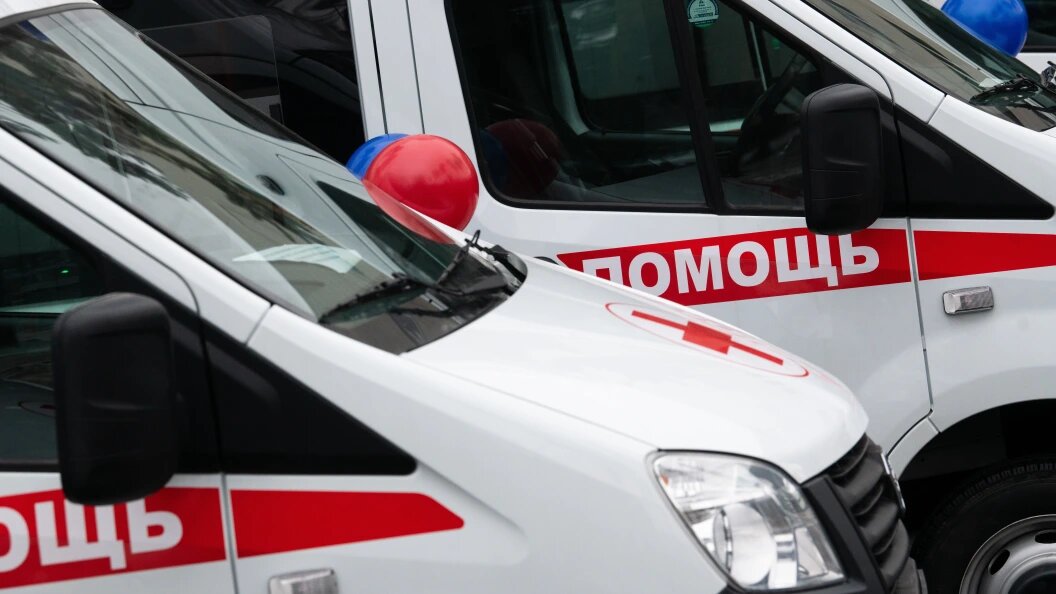    Ilya Moskovets/Globallookpress