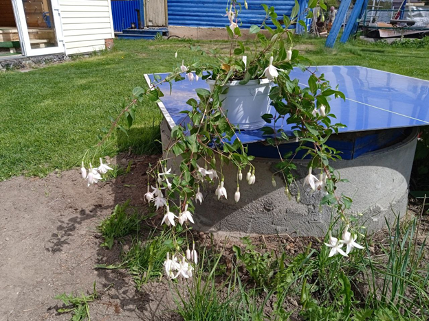 Личное фото