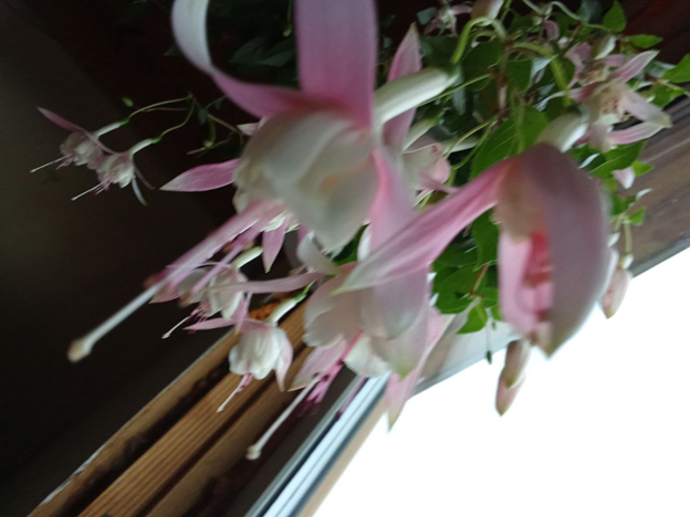 Личное фото