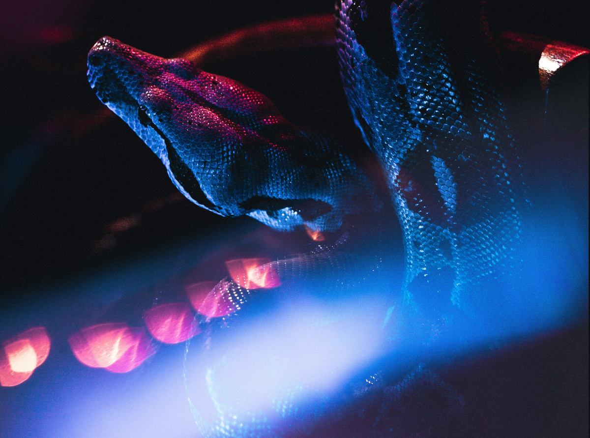 Фото: Nick Rickert с сайта unsplash.com