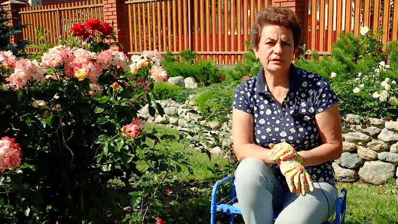 Валентина Петровна у своих роз - вот что значит народная мудрость