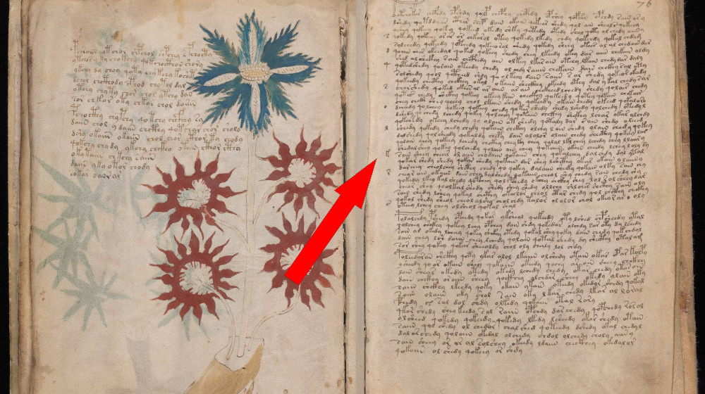    Манускрипт Сибуды книга которая пугает ученых с XV века