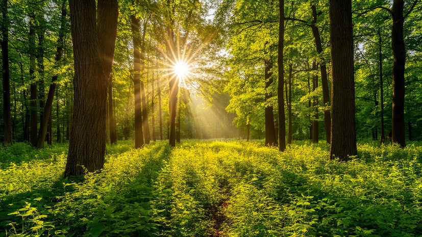    Сгенерировано с помощью ИИ