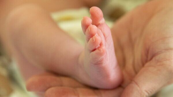    © Соцсети главы РК Сергея Аксенова