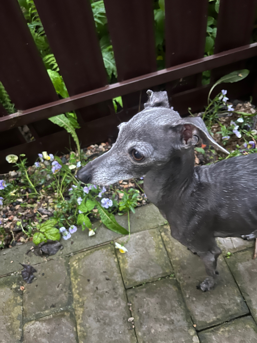 Внимание, Лето заходит в ворота. Иди сюда, ждём!)