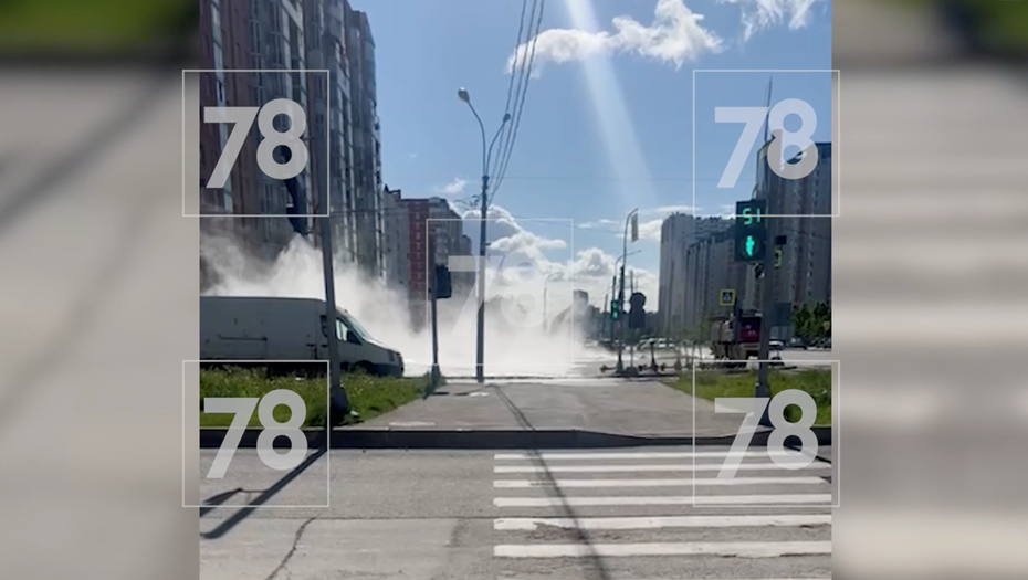    Автор фото: 78.ru