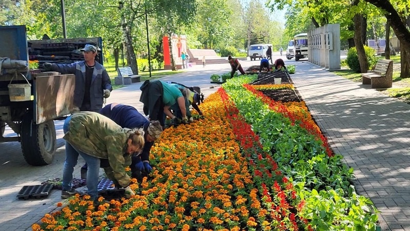      Фото: Администрация Ставрополя