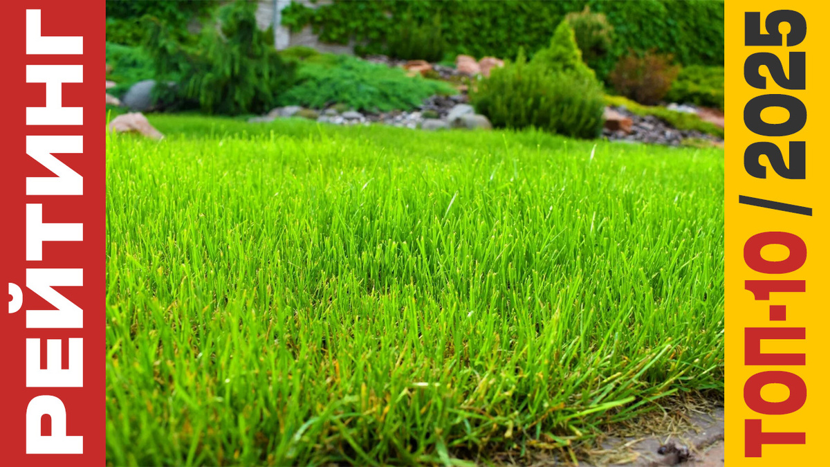 ТОП-10 Газонной травы 2025 года: Рейтинг лучших семян