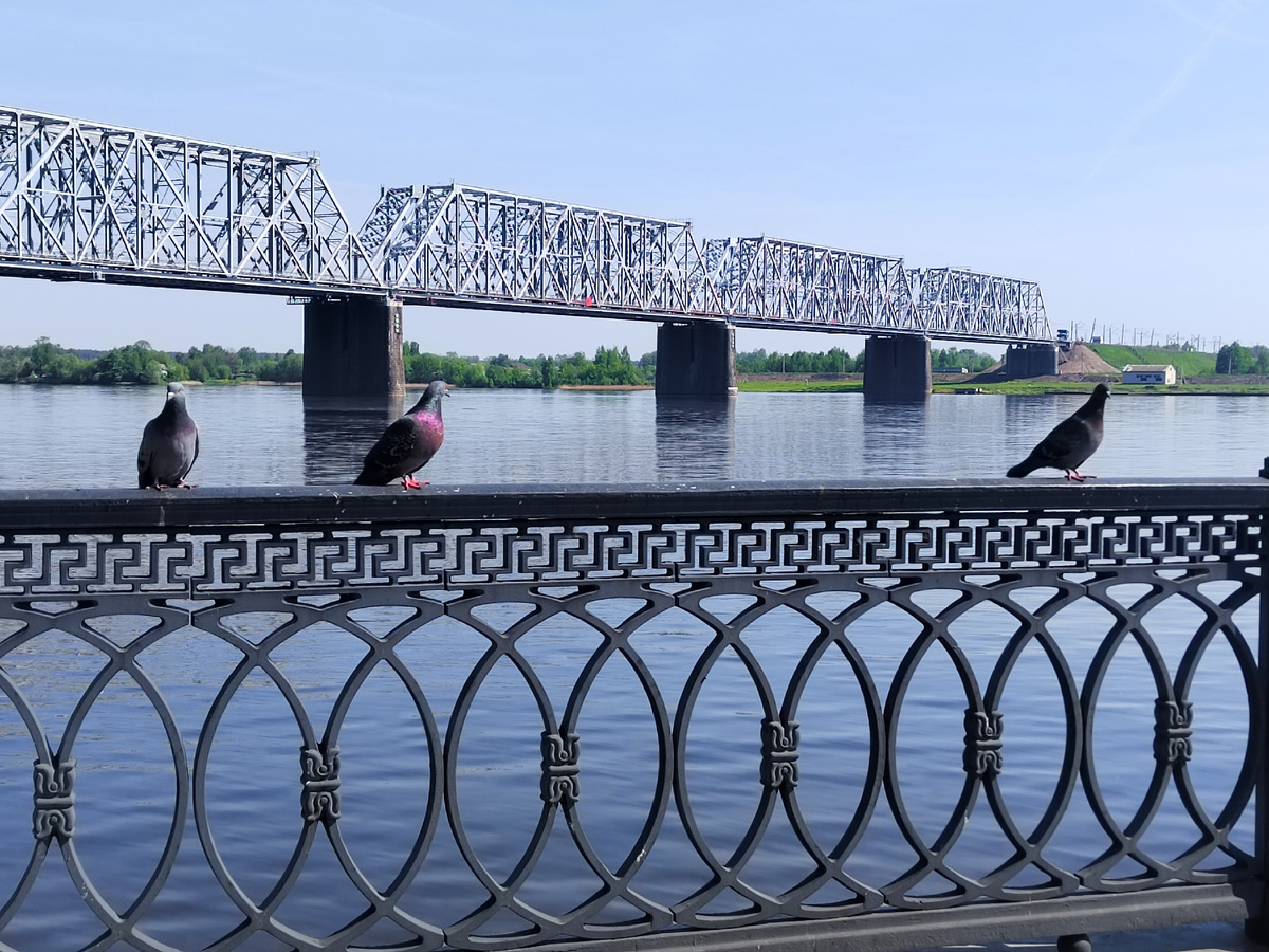 Ярославль. Волга. Жизнь можно познать, только учавствуя в ней!