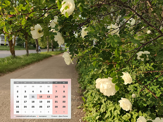 Рассказываем тверичанам, что нового в законодательстве с 1 июня