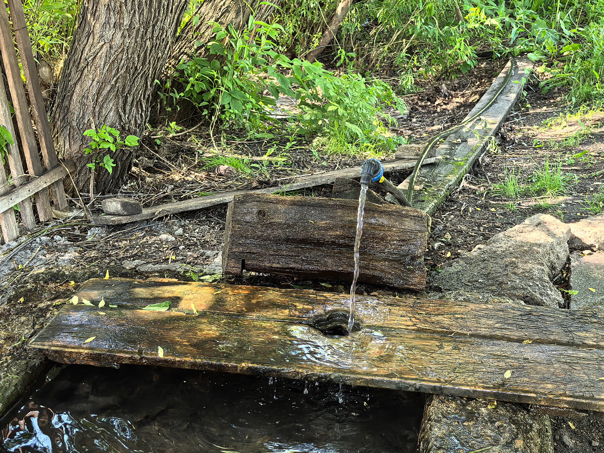 Целебный источник