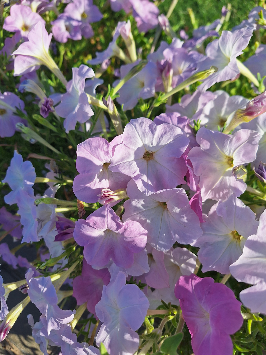 Фото - собственность автора канала.