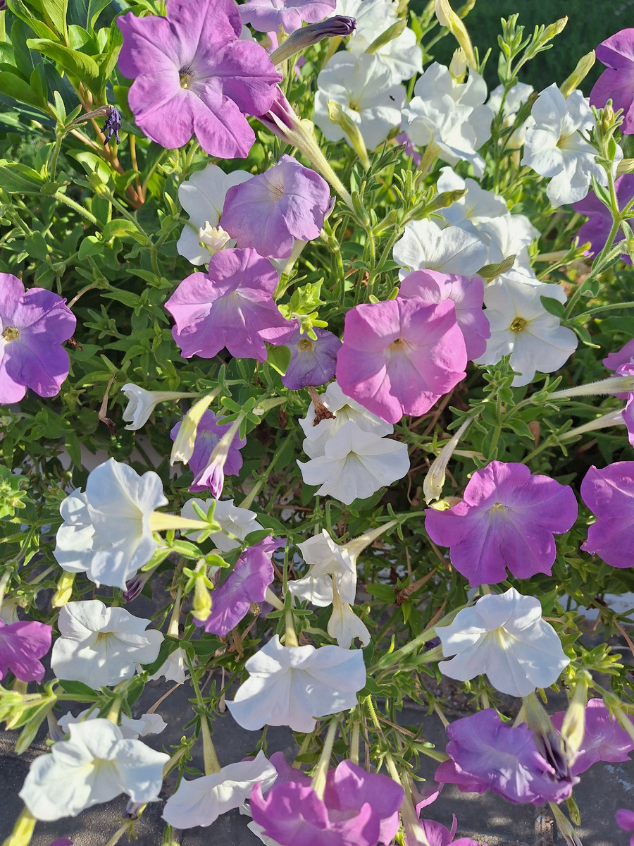 Фото - собственность автора канала.