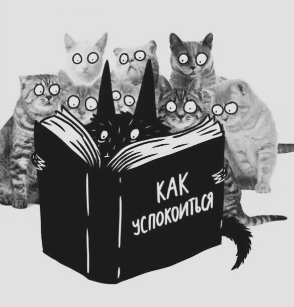 руководство к настойке пустырника 