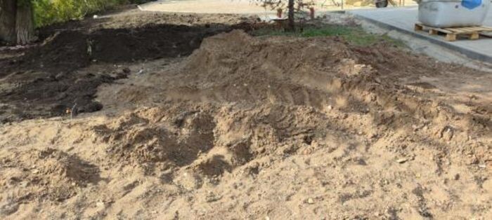 Источник фото: © «Панорама»