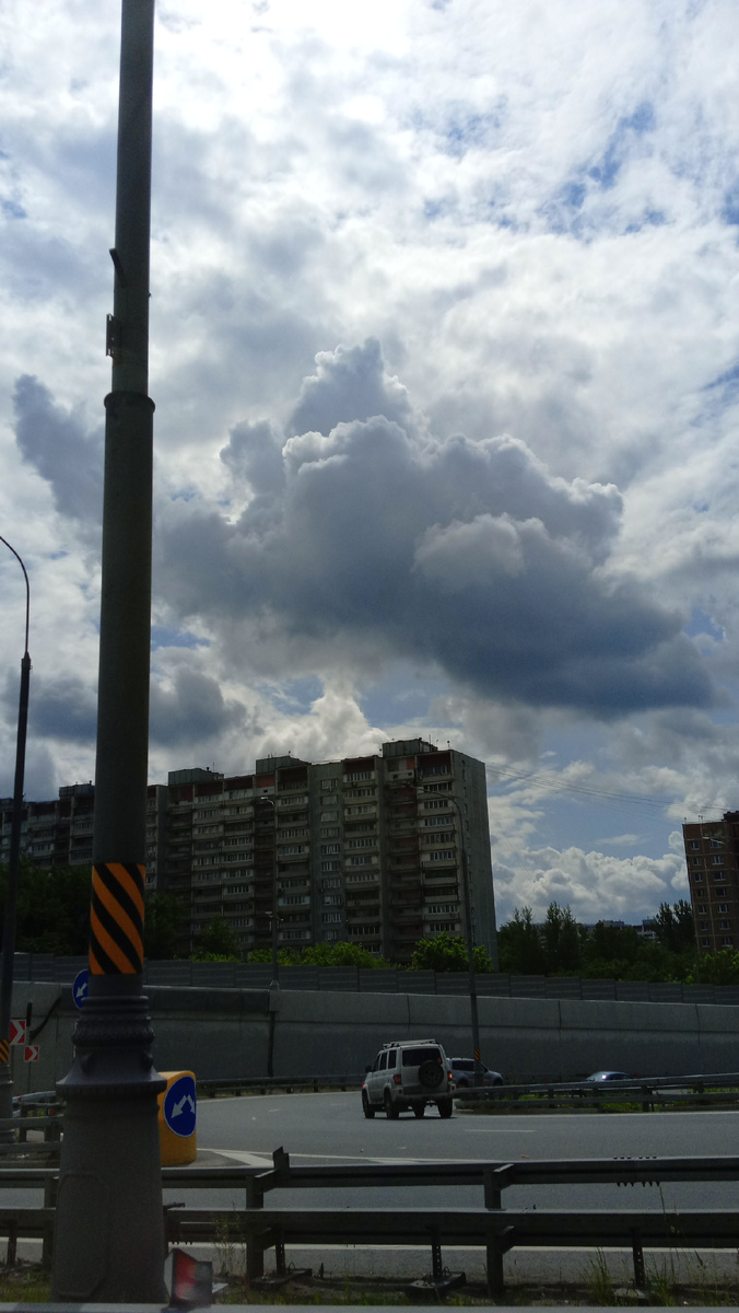 Фото автора.