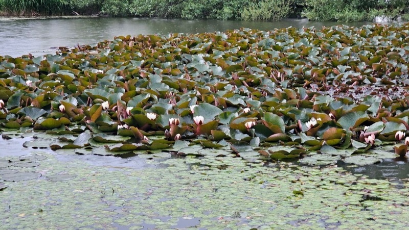      Фото: Администрация Предгорного округа
