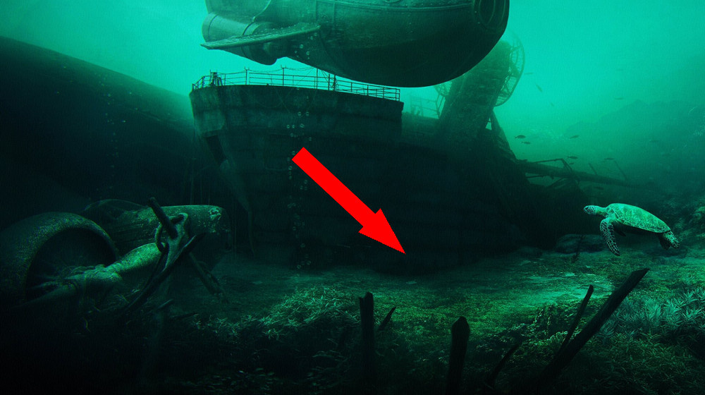    Тайна «Калипсо» Кусто что скрывали от мира в 1980-х