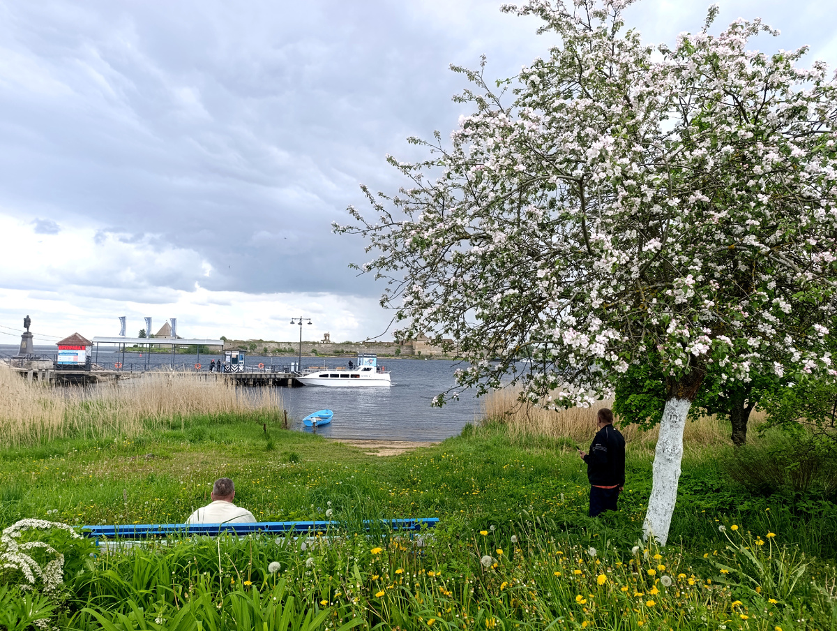 Все фото автора. 