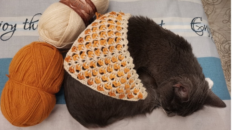 Скрин комментария к статье на этом канале