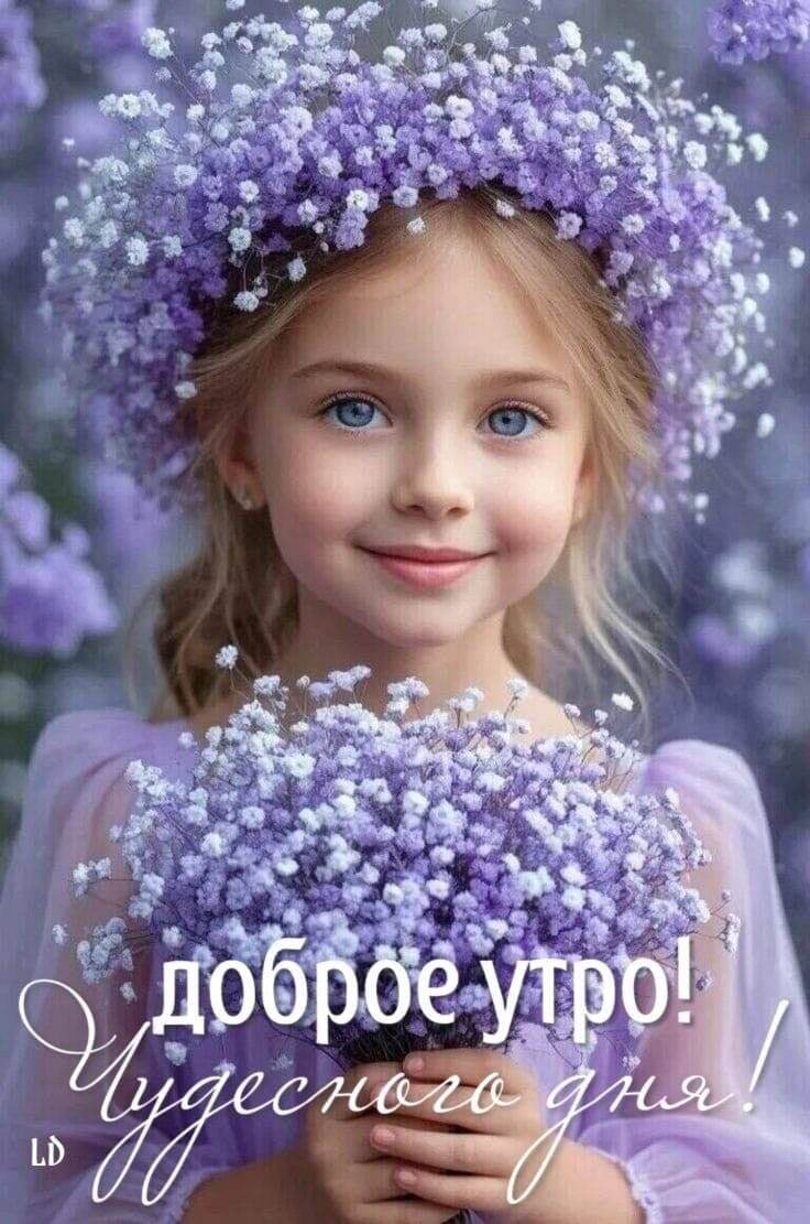 Фото из интернета.