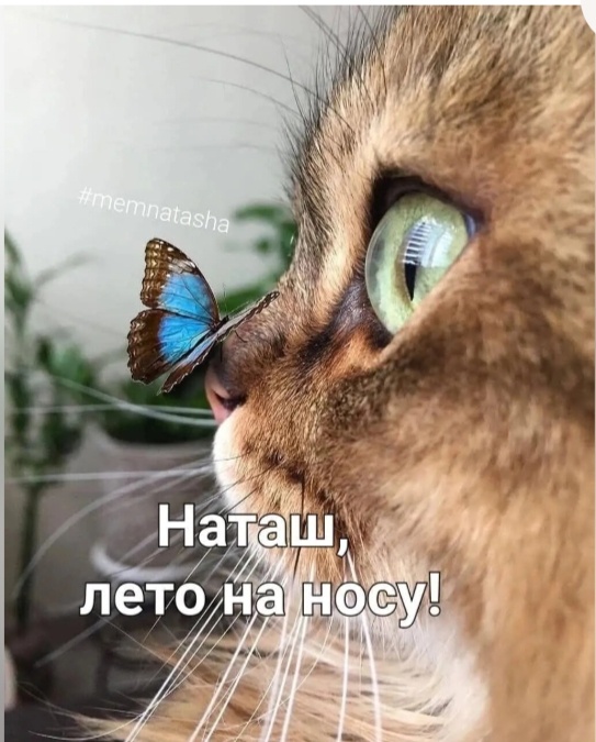 Фото из интернета.