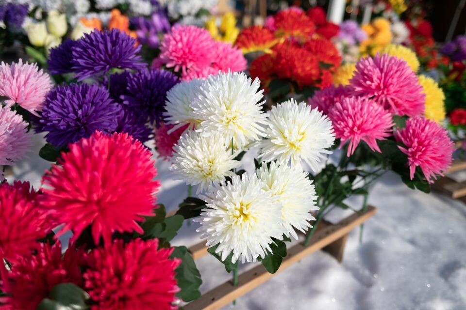    Кладбище. Источник: Анна Меньшикова