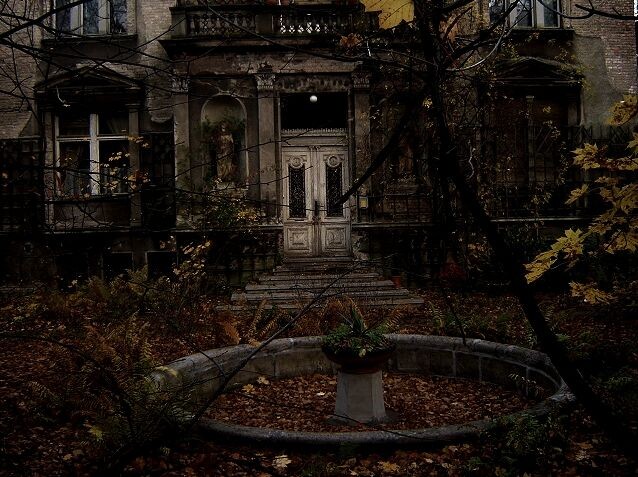 фото из интернета