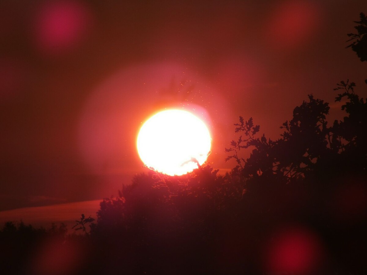     / Источник: © Victor Lisitsyn/Global Look Press