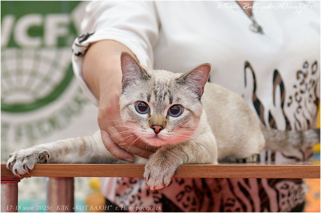 У меня пока не готовы профессиональные парадные фотки, так что смотрите, как я выгляжу на выставке