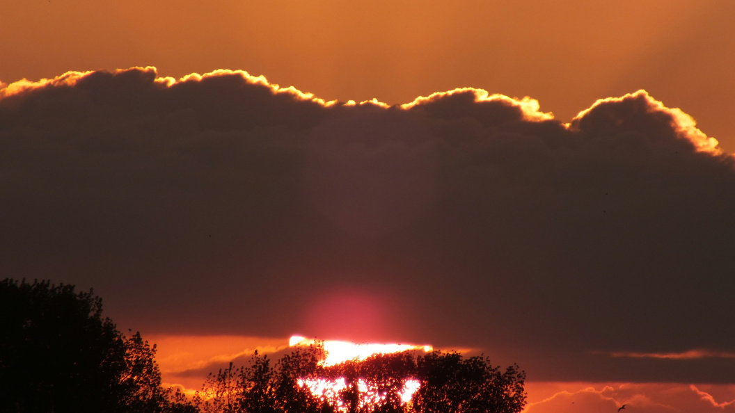    Victor Lisitsyn, Виктор Л/Global Look Press/Globallookpress