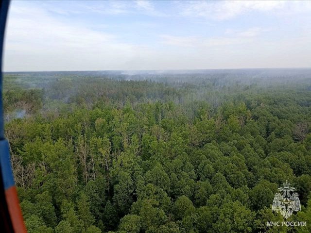     Фото с места происществия предоставлены пресс-службой ГУ МЧС по Липецкой области